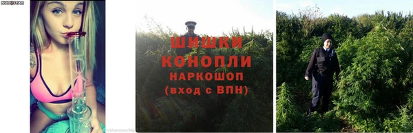 apvp Нея