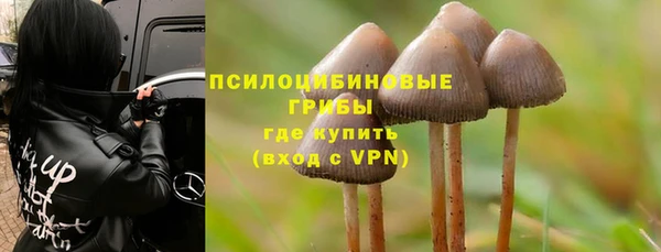дмт Нефтегорск